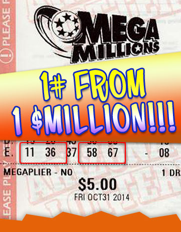 Another Mega Millions Winner in 2014