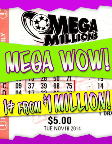 Another Mega Millions Winner in 2014