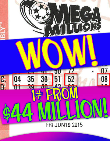 Another MEGA MILLIONS Winner in 2015